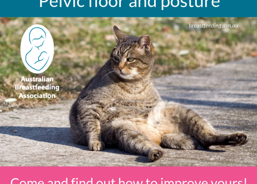 Pelvic Floor