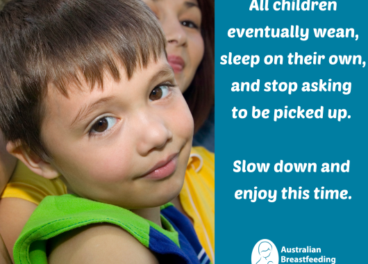 All children eventually wean, sleep on their own, and stop asking to be picked up. Slow down and enjoy this time.