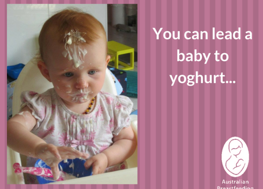 You can lead a baby to yoghurt.