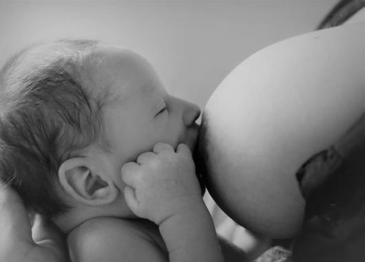 black and white image infant feeding from the breast.