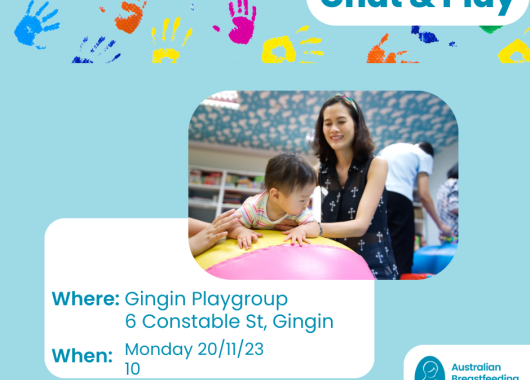 Join us at 6 Constable St, Gingin at 10 a.m. on Monday 20th November for a chat and play.  All welcome.