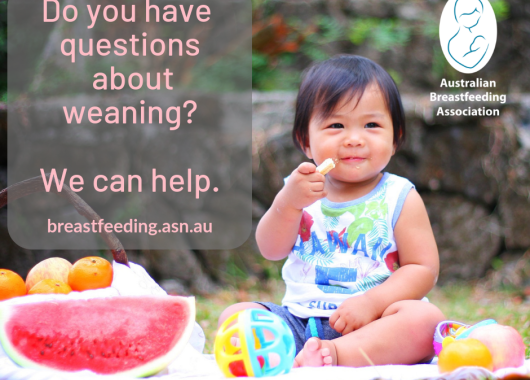 Smiley baby sitting outside with fruit to eat. The image includes the words, "Do you have questions about weaning? We can help. breastfeeding.asn.au"