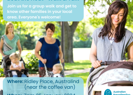 Details of walk plus mums walking with children and babies of various ages in prams/strollers