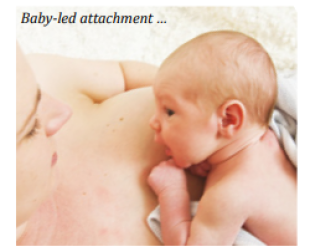 How to help your baby attach and breastfeed