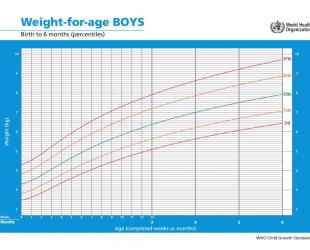 Fetal Growth Chart By Month