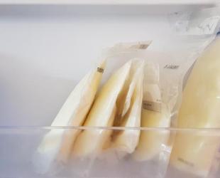 bags of EBM on a freezer shelf