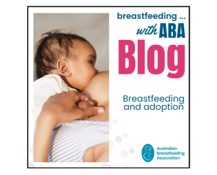 Image shows a preview of the blog post about breastfeeding and adoption.