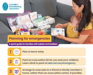 Image of ABA's one page emergency planning guide for parents