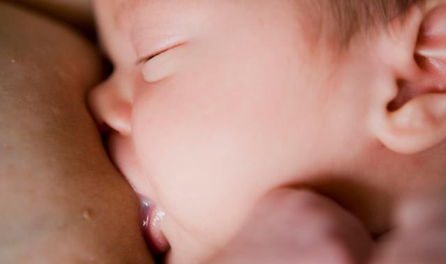 How breasts make milk  Australian Breastfeeding Association