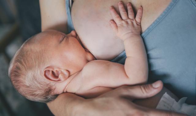 Attachment - a closer look  Australian Breastfeeding Association